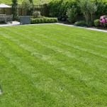 Grass And Garden Maintenance
